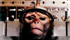 US Defense Department Weaponized Ebola?