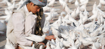 International Day of Nonviolence in Afghanistan