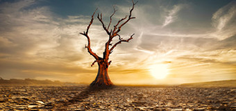 Michael J. Murphy Interview: Chemtrails, Climate Change, and an UNconventional Shade of Grey