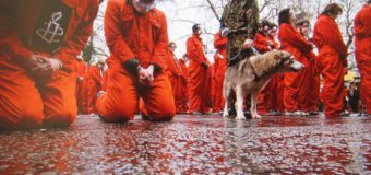41 Hearts Beating in Guantanamo