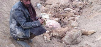 Digging Deeper: Kathy Kelly on Drought in Afghanistan